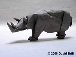 Rhinoceros by David Brill