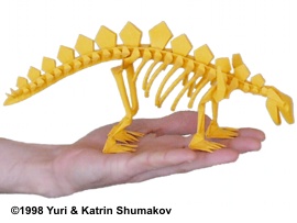 Skeleton of Stegosaurus by Yuri and Katrin Shumakov